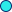 지류의 일반